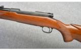 Winchester ~ Pre-64Model 70 ~ 30-06 Sprg - 8 of 9