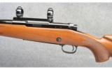 Winchester ~ Model 70 Mannlicher ~ 30-06 Sprg - 7 of 9