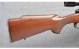 Winchester ~ Model 70 Classic Varmint ~ 223 Rem - 2 of 9