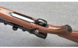 Winchester ~ Model 70 Classic Varmint ~ 223 Rem - 8 of 9