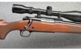 Winchester ~ Model 70 Classic Varmint ~ 223 Rem - 3 of 9