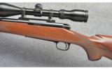 Winchester ~ Model 70 Classic Varmint ~ 223 Rem - 7 of 9