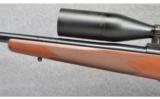 Winchester ~ Model 70 Classic Varmint ~ 223 Rem - 6 of 9