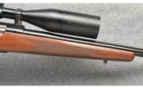 Winchester ~ Model 70 Classic Varmint ~ 223 Rem - 4 of 9