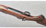 Winchester ~ Model 70 Classic Super Express ~ 375 H&H Mag - 8 of 9
