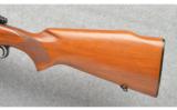Winchester ~ Pre-64
Model 70 FWT ~ 243 Win - 9 of 9