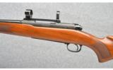 Winchester ~ Pre-64
Model 70 FWT ~ 243 Win - 7 of 9