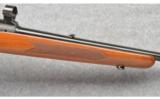 Winchester ~ Pre-64
Model 70 FWT ~ 243 Win - 4 of 9