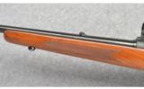 Winchester ~ Pre-64
Model 70 FWT ~ 243 Win - 6 of 9