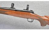 Winchester ~ Model 70 Sporter Varmint ~ 223 Rem - 8 of 9