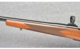 Winchester ~ Model 70 Sporter Varmint ~ 223 Rem - 6 of 9