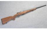 Steyr Arms ~ ZRII Rimfire Rifle ~ 17 HMR - 1 of 9