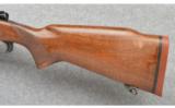 Winchester ~ Pre-64Model 70 ~ 270 Win - 9 of 9