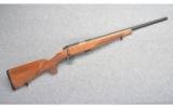 Steyr Arms ~ ZRII Rimfire Rifle ~ 22 LR - 1 of 9