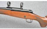 Winchester ~ Model 70 Classic Super Grade ~ 264 Win Mag - 8 of 9
