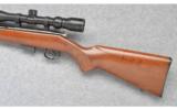 CZ ~ Model 452 American ~ 17 HMR - 2 of 4