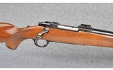 Ruger ~ M77 Varmint 