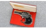High Standard ~ DM-101 Derringer ~ 22 Magnum - 5 of 5