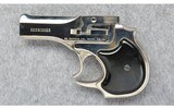 High Standard ~ DM-101 Derringer ~ 22 Magnum - 2 of 5