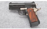 Para Ordnance ~ Warthog Compact ~ 45 ACP - 2 of 3