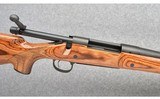 Remington ~ Model 700 VLS ~ 30-06 Sprg - 9 of 9