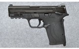 Smith & Wesson ~ M&P9 Shield EZ TS ~ 9 mm Luger - 2 of 4