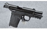 Smith & Wesson ~ M&P380 Shield EZ ~ 9mm Luger - 3 of 4