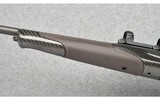Blaser ~ R8 Carbon Success ~ 6.5 PRC - 6 of 11