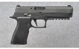 SIG Sauer ~ P320 X-TEN ~ 10 mm Auto - 3 of 5