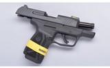 Ruger ~ MAX-9 ~ 9 mm Luger - 5 of 5
