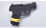 Ruger ~ MAX-9 ~ 9 mm Luger - 1 of 5