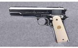Kongsberg Colt ~ Model 1914 ~ 11.25 mm Auto - 7 of 7