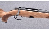 Steyr Arms ~ CLII Full Stock ~ 270 Winchester - 3 of 10