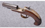 Williamson ~ Derringer ~ 41 Rimfire - 3 of 4