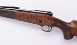 Winchester ~ Model 70 Western Big Game Series, Mule Deer ~ 264 Win Mag - 9 of 14