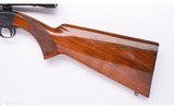 Browning ~ SA-22 ~ 22 Long Rifle - 10 of 10