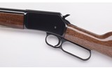Browning ~ BL-22 Grd. 1 ~ 22 S, L & LR - 8 of 10