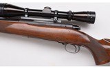Winchester ~ Pre-64 Model 70 Standard ~ 300 H&H Magnum - 9 of 10