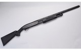 Browning ~ BPS ~ 10 Gauge