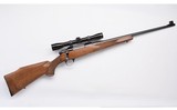 Sako ~ L579 Forester ~ .243 Winchester - 1 of 12
