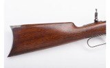Winchester ~ 1894 ~ .25-35 WCF - 2 of 10