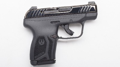 Ruger
LCP Max "Rose"
.380 ACP