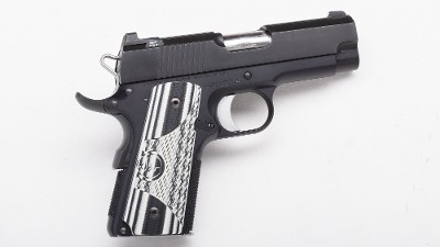 Dan Wesson ~ Eco ~ .45 ACP
