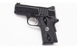 Para USA ~ Carry 9 ~ 9mm Luger - Image 2 of 2