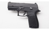 SIG Sauer ~ P320 ~ 9mm Luger - 2 of 2