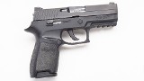SIG Sauer ~ P250 ~ .40 S&W - 1 of 2