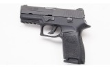 SIG Sauer ~ P250 ~ .40 S&W - 2 of 2