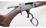 Rossi ~ R95 ~ .45-70 Government - 3 of 3