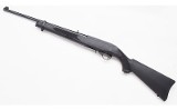 Ruger ~ 10/22 ~ .22 Long Rifle - 2 of 2