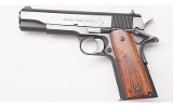 Colt ~ Combat Government Model ~ .45 Auto - 2 of 2